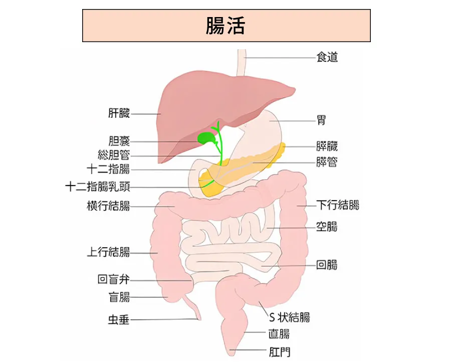 サーモグラフィ